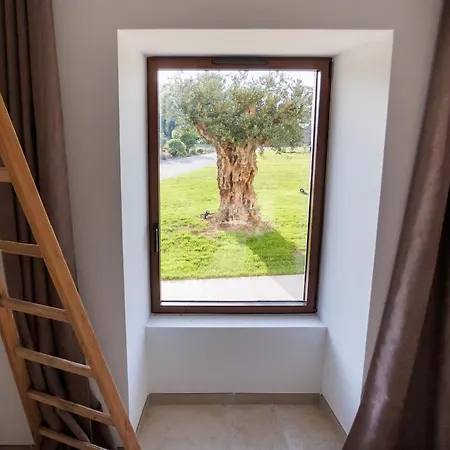 ヴィラ Magnifique Longere Charentaise Pmr Piscine Sauna *